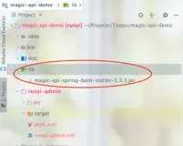 若依ruoyi框架整合magic-api快速开发