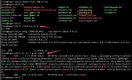 Nginx——反向代理 & 负载均衡（无理论，案例实操）