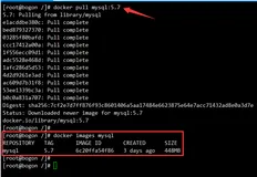 Docker——常用镜像的安装 & 本地镜像推送发布到阿里云