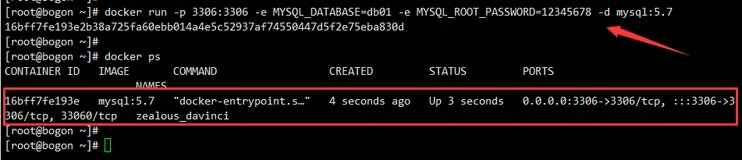 Docker——使用Dockerfile构建SpringBoot项目（打包 & 部署 & 运行）