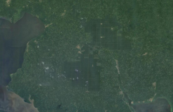 Google Earth Engine ——数据全解析专辑（Global Map of Oil Palm Plantations）全球油棕种植园数据集！
