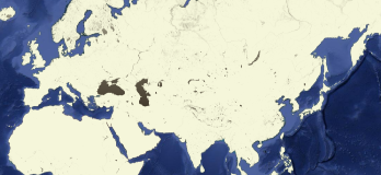 Google Earth Engine ——数据全解析专辑（世界第 4 版网格化人口 (GPWv4) 修订版30 弧秒1公里格网）水体面积和掩膜数据集