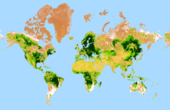 Google Earth Engine ——比Landsat更全的NDVI数据NOAA CDR AVHRR NDVI）1981-2019年0.05 degrees数据集