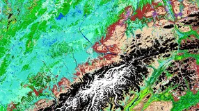 Google Earth Engine ——美国LANDIFRE植被数据集包括。生物物理设置（BPS)环境场地潜力（ESP)现有植被冠层(EVC)现有植被高度（EVH）现有植被类型（EVT)数据集