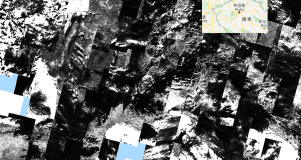 Google Earth Engine ——Landsat 8 Annual BAI Composite