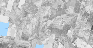 Google Earth Engine ——Landsat 5 TM合成影像8天/32天/年际归一化燃烧比热（NBRT）指数数据集