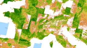 Google Earth Engine ——Landsat 5 TM合成影像8天/32天/年际归一化植被指数（NDVI）指数数据集