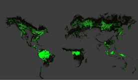 Google Earth Engine——Landsat图像在描述全球森林范围和变化方面的时间序列分析结果（2014年）