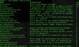 Minio Docker安装官方指南