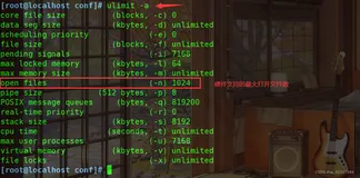 Nginx网站服务配置文件实操看这篇就够了（二）