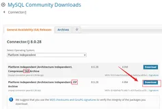 JDBC 驱动升级到 Version 8.0.28 连接 MySQL 的踩坑记录