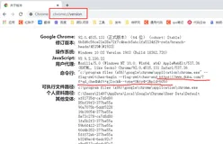 关于 谷歌浏览器主页被劫持的 解决方法
