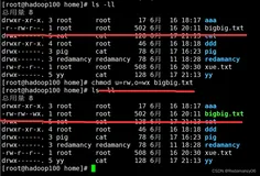 linux中的chgrp改变所属组、修改bigbig.txt文件所属主用户拥有读写权限,并使其他用户具有写执行权限、find查找文件或者目录、locate快速定位文件路径、grep 过滤查找及“|”管道符、gzip/gunzip 压缩、zip/unzip 压缩
