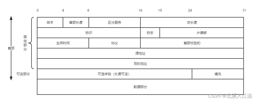 IP数据报