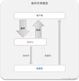 redis应用；redis经典五种基本类型、java工具类