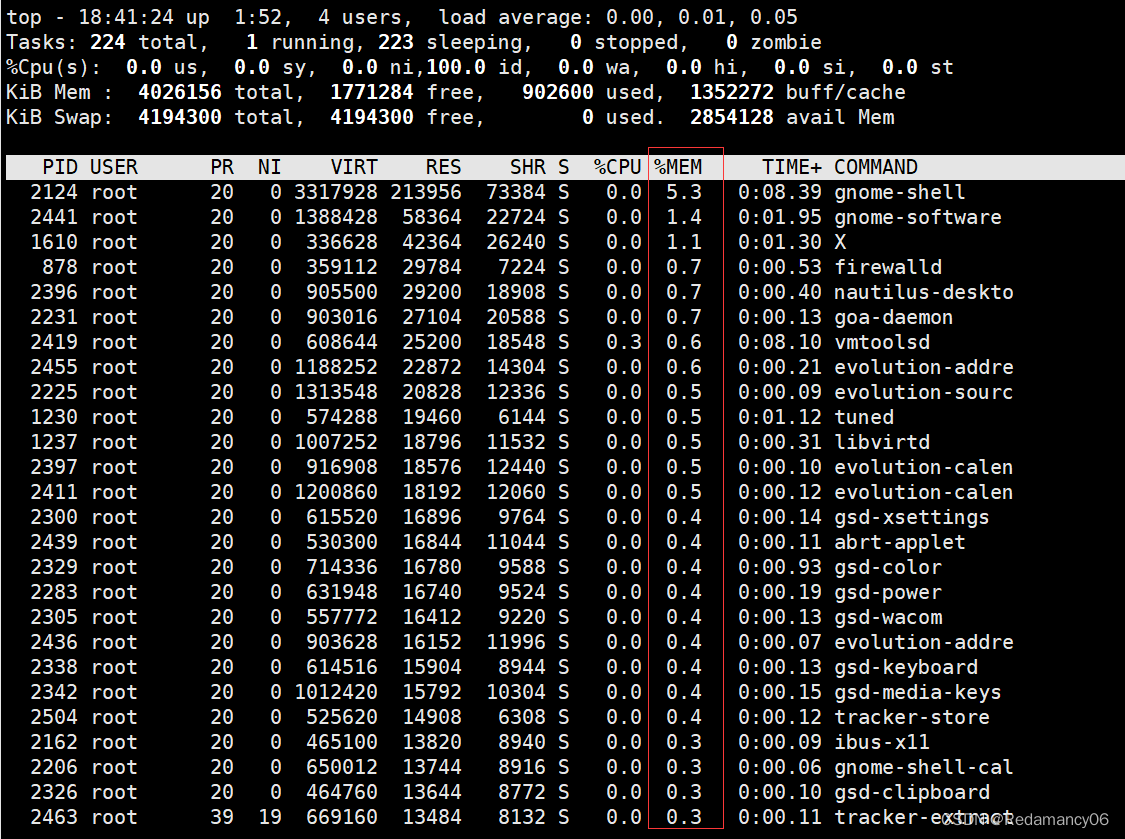 Linux中top 实时监控系统进程状态