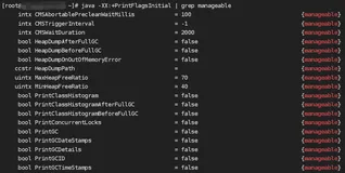 Java的jinfo命令使用详解