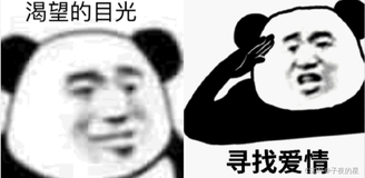 【经典算法】双指针（尺取法）：爱，是双向奔赴，还是你追我赶？