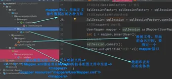  Mybatis映射文件规则