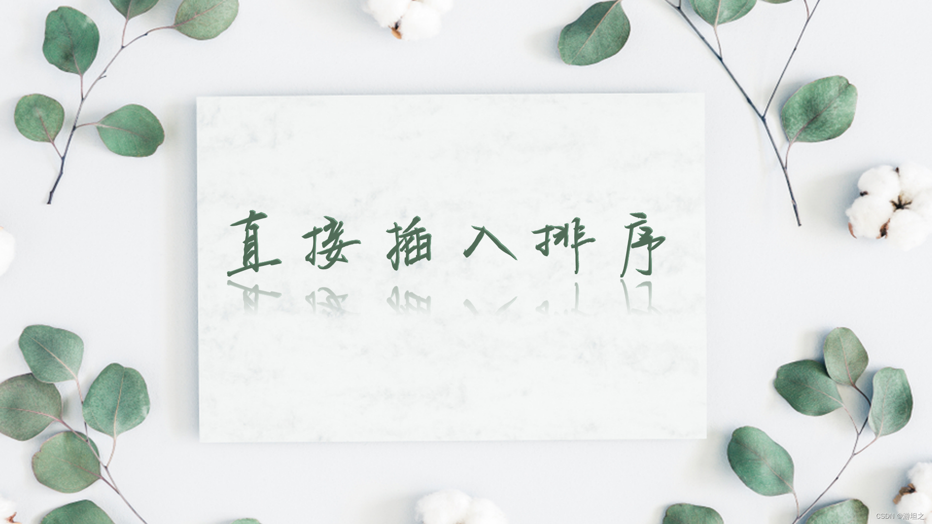 有道翻译小球怎么用？从开启到精通，看这篇就够了！