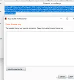 burp 安装 license key not recognized