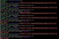 Ububtu18.04安装Zookeeper3.5.7