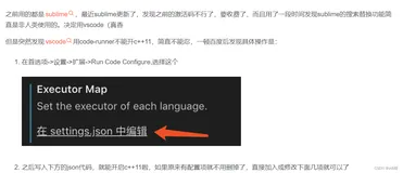 code runner中配置C++11