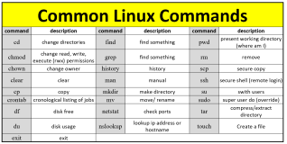 为什么程序猿都应该学点linux命令？