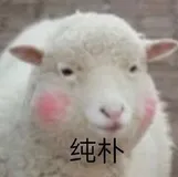 ❤️【Java】图文深入解析 继承、多态、接口（超详细，小白一看就会）❤️