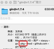 Gin从入门到精通—如何理解安装Gin并在本地运行