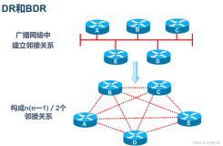 OSPF路由协议（二）
