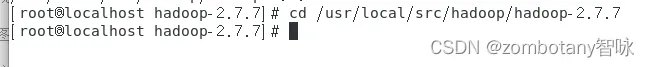 Hadoop: 启动后发现没有DataNode