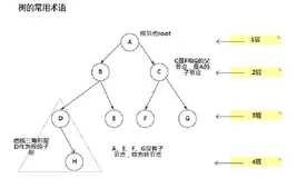 Java数据结构与算法——二叉树前中后序遍历 & 查找 & 删除