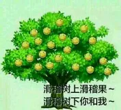 每日一题 --- 589. N 叉树的前序遍历[力扣][Go]