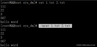 Linux系统调用三、read()函数和write()函数介绍
