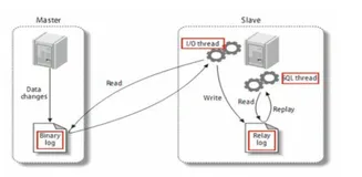 关于主从复制的超详细解析（全）