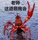 每日一题---794. 有效的井字游戏[力扣][Go]
