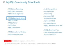 【Mysql】Win10安装Mysql数据库绿色版配置