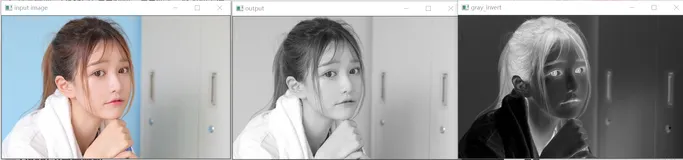 OpenCV 读写图像、读写像素、修改像素值（案例：图像反处理）
