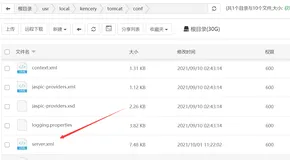通过域名直接访问Tomcat项目