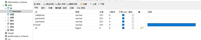 java程序设计与j2ee中间件技术/软件开发技术(III)-实验六-采用MVC模式实现用户注册和管理员查询功能