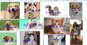 CV之CNN：基于tensorflow框架采用CNN(改进的AlexNet,训练/评估/推理)卷积神经网络算法实现猫狗图像分类识别