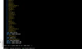 CentOS 7.6安装 Redis-6.2.5