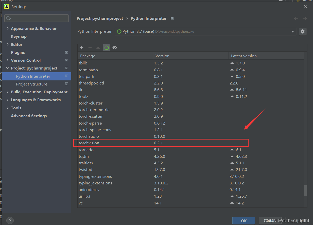基于Pytorch中安装torchvision简单详细完整版-阿里云开发者社区