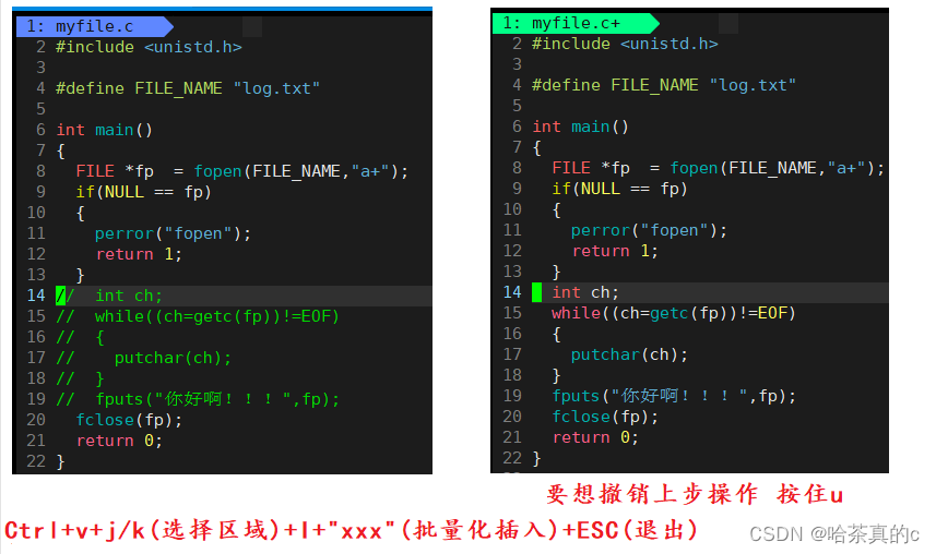 【Linux】13. 文件操作