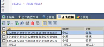 SpringBoot集成MyBatis通用Mapper4