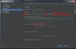 Intellij IDEA基于Springboot的远程调试