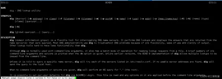 Linux系统之dig命令的基本使用