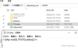 菜刀webshell特征分析