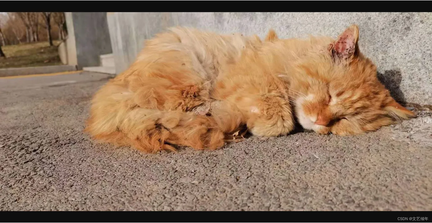 在这里插入图片描述 在这里插入图片描述